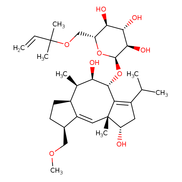 Image of MNXM11610