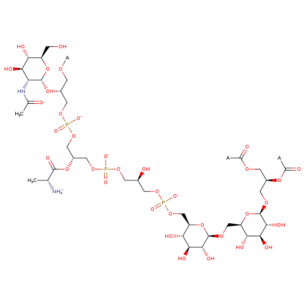 MetaNetX: MNXM169353 - type I lipoteichoic acid