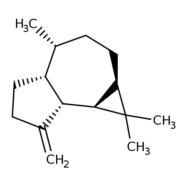 Image of MNXM22510