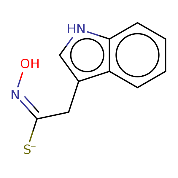 Image of MNXM5185