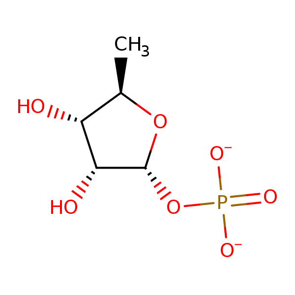 Image of MNXM5554