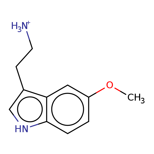 Image of MNXM6360