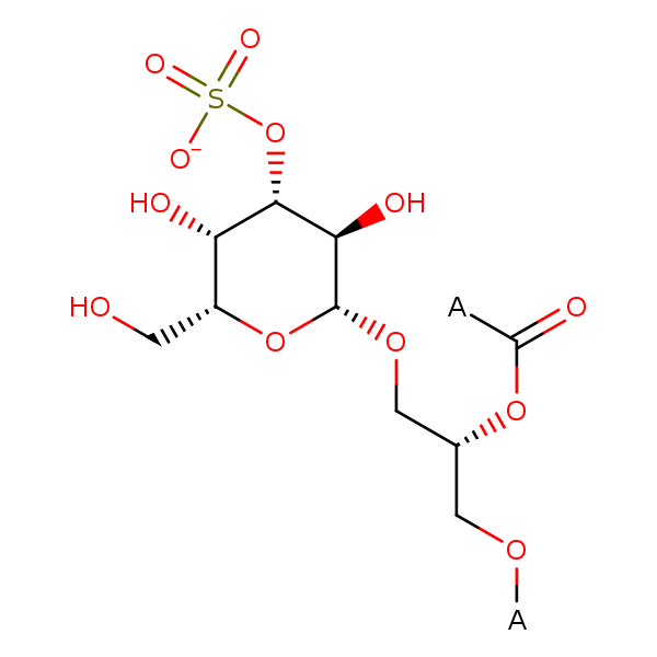 Metanetx Mnxm A 1 O Alkyl 2 Acyl 3 Beta D 3 Sulfogalactosyl Sn Glycerol